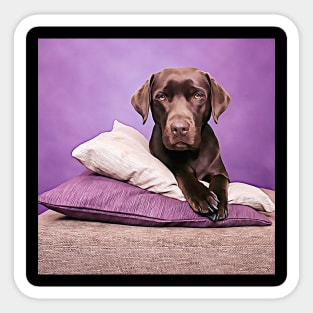 Lovely Chocolate Lab Sticker